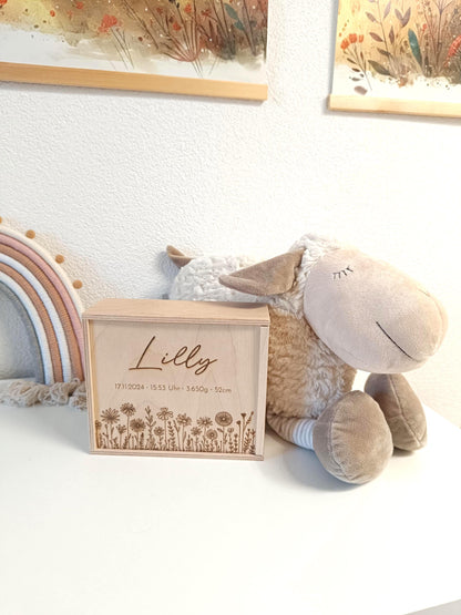Memory-Box I Erinnerungskiste I Personalisierbar I Wunschmotiv I Name I Baby I Hochzeit I Taufe I Holzkiste mit Schiebedeckel I Babyshower
